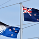 Finalists of New Zealand's 2016 referendum.